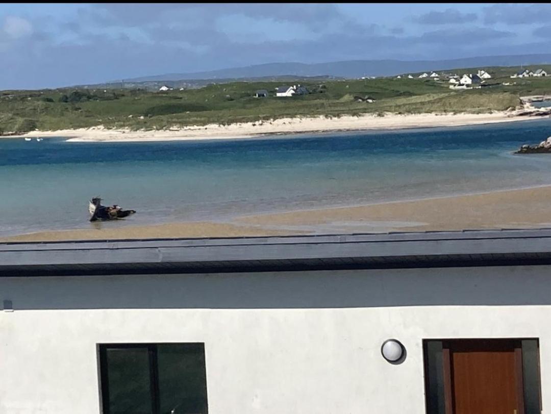 Ostan Gweedore Deluxe Apartments Bunbeg Exteriér fotografie